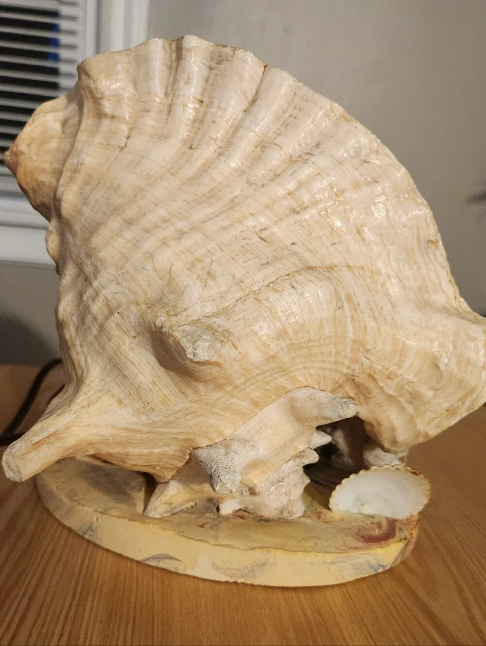 Vintage Mid-Century Modern Conch Seashell Night Light - WORKS